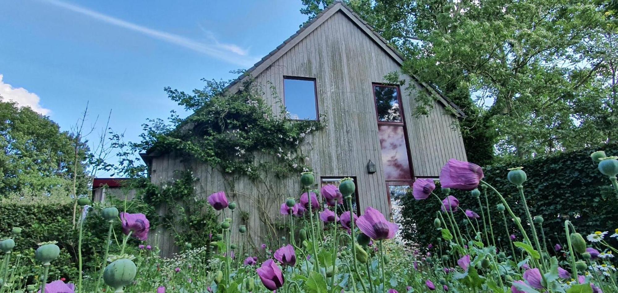 Het Kleine Paradijs Easterein Exterior photo